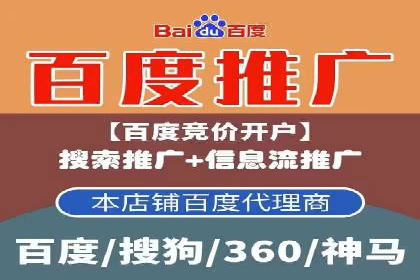 SEM服务案例：助力企业拓展海外市场